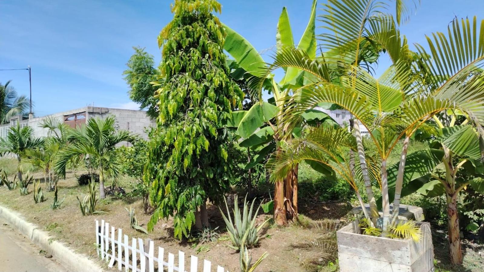 Pangora, Privada De Flor De Lis House